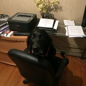 Meet your Posher, Anthony